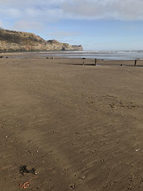 Mulgrave Country Cottage Sandsend Esterno foto