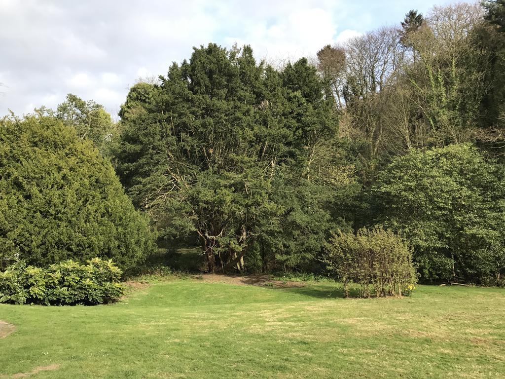 Mulgrave Country Cottage Sandsend Esterno foto